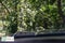 2025 Chevrolet Silverado 3500 HD High Country